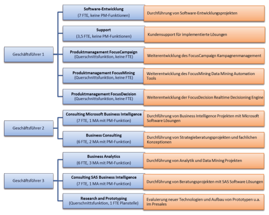 Abbildung 1: Struktogramm der FocusInsight Consulting GmbH
