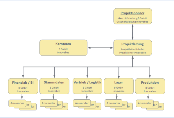 Abbildung 13: Rollen in der Projektorganisation