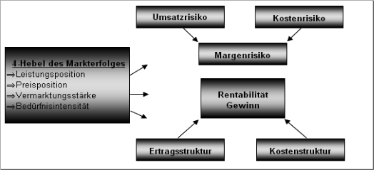 Abbildung 4: Internes Umfeld zur Identifizierung von Geschäftsrisiken