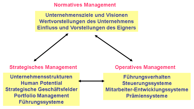 Abbildung 4.1: Parameter des integrativen Managements