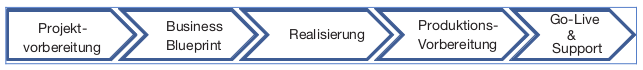 Abbildung 9: ASAP Projektroadmap der SAP